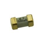 0452.500MRL-LITTELFUSE-0452.500MRL-Fuse, Surface Mount, 500 mA, Slow Blow, 125 VAC, 125 VDC, 2410 [6125 Metric], NANO2 Slo-Blo 452