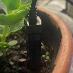 SONOFF MS01 Smart soil moisture sensor (RJ9 4P4C connector)