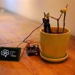 DFRobot Gravity Analog Capacitive Soil Moisture Sensor- Corrosion Resistant
